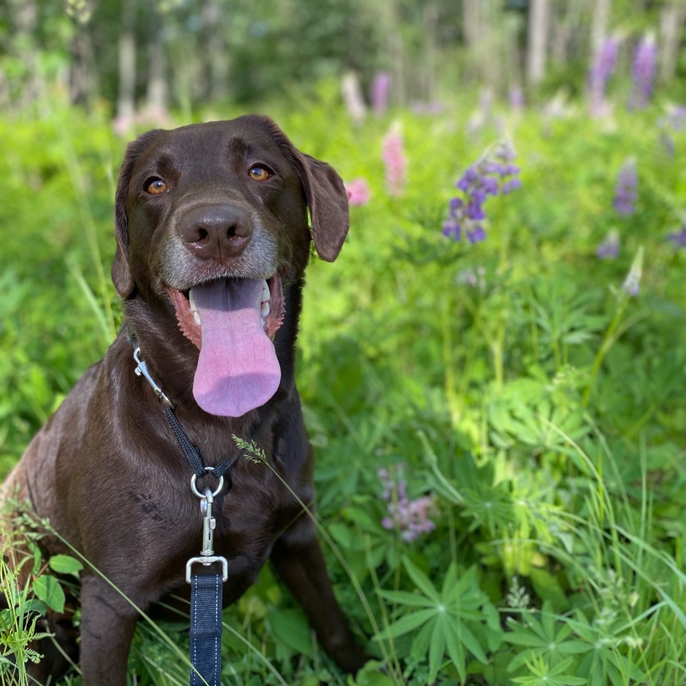 Meet your Posher, Emmy